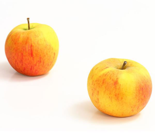 Winterapfel 'Goldparmäne'