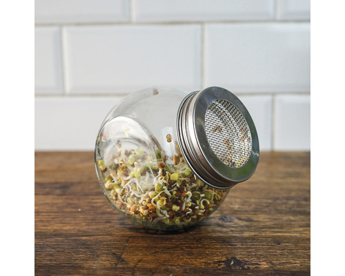 Kiempot mijn oogst incl. startersportie biologische zaden