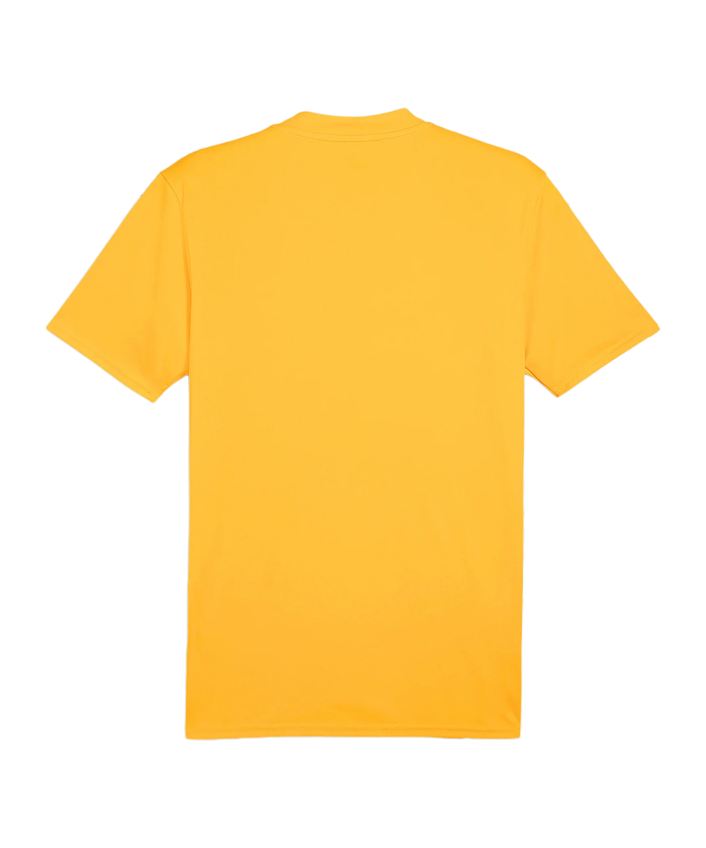 PUMA teamGLORY Trikot Orange Schwarz F61