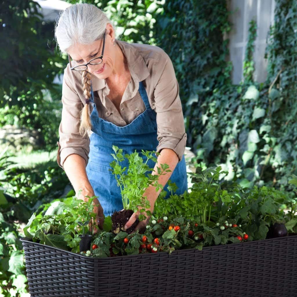 Keter Easy Grow modernes Hochbeet, grau, inkl. Bewässerungssystem, Rattanoptik, passend für Balkon, Terrasse oder Garten