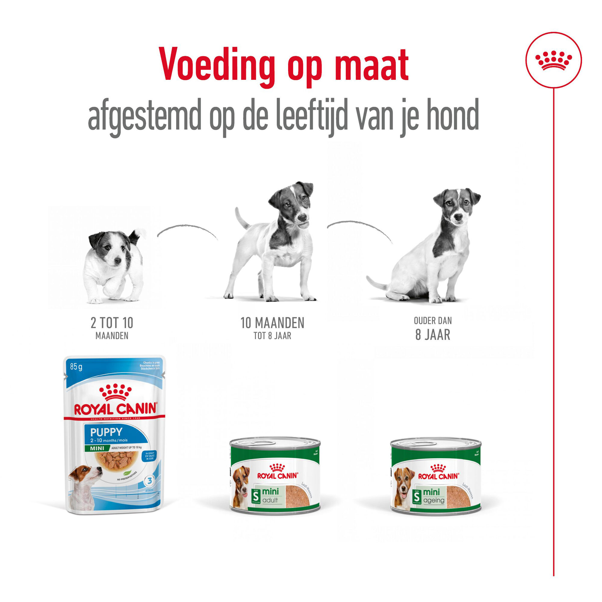 Royal Canin Mini Adult Wet - Blik - Hondenvoer