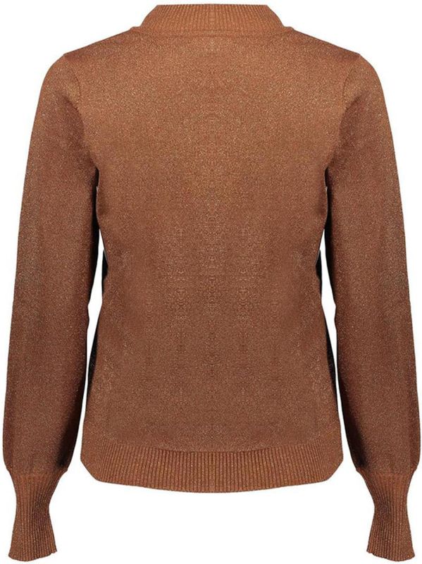 Geisha - 54531-14 - Pullover - Bruin - Lange Mouw