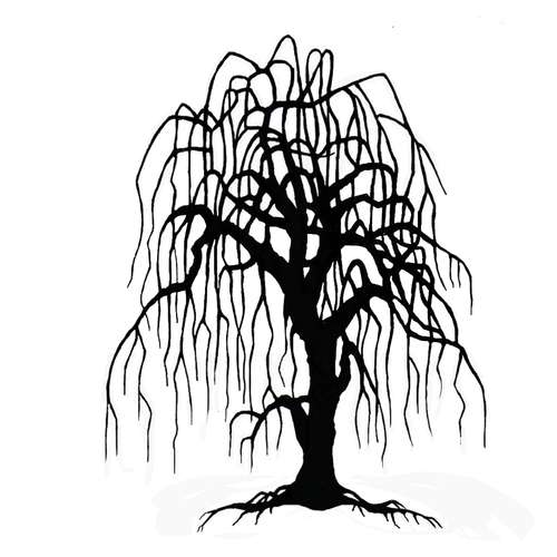 Lavinia Stempel, Weeping Willow Tree