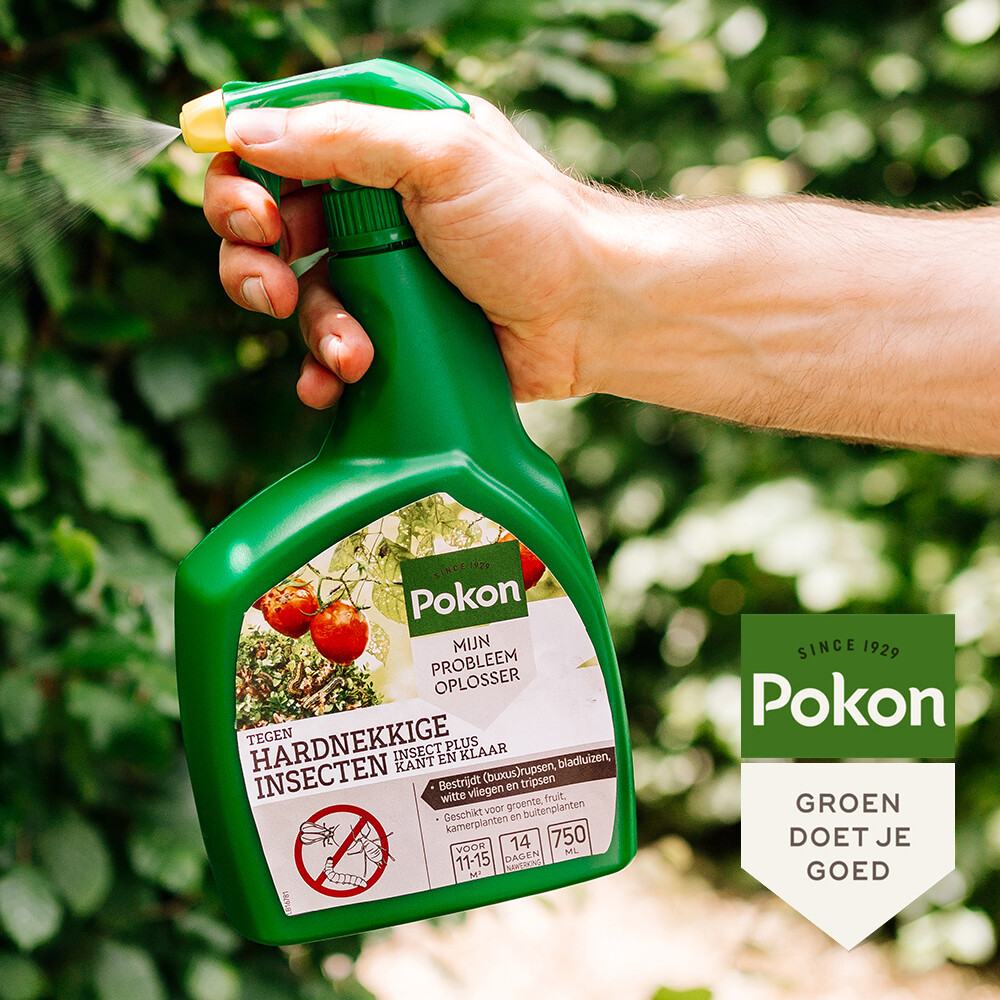 Pokon Tegen Insecten Hardnekkige Spray Insect Plus 750 ml