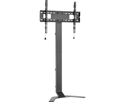 Andersson FRS 2.1