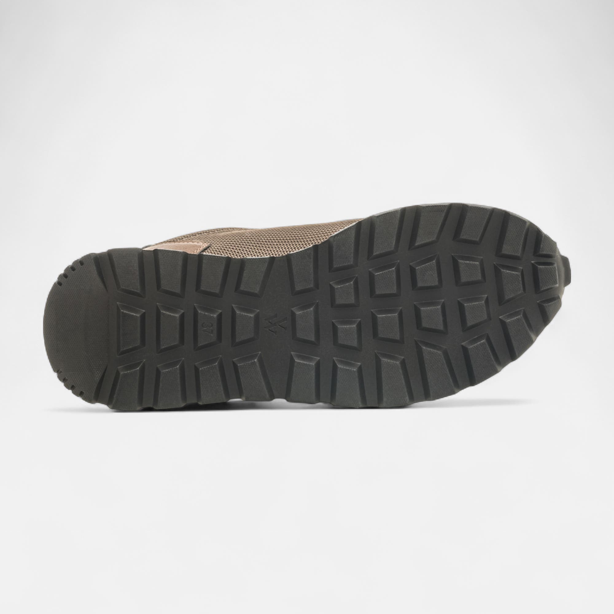 Baskets basses Femme marron