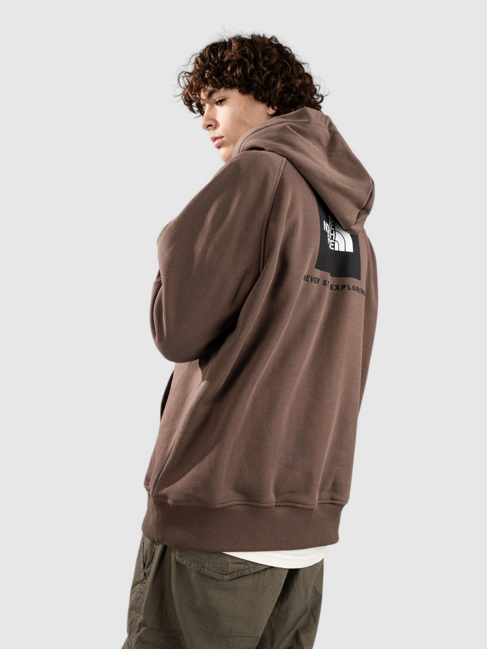 THE NORTH FACE Raglan Redbox Hoodie smokey brown