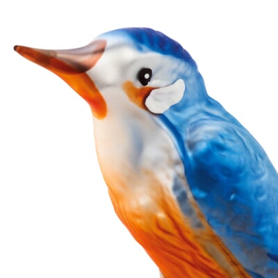 Lauschaer Eisvogel
