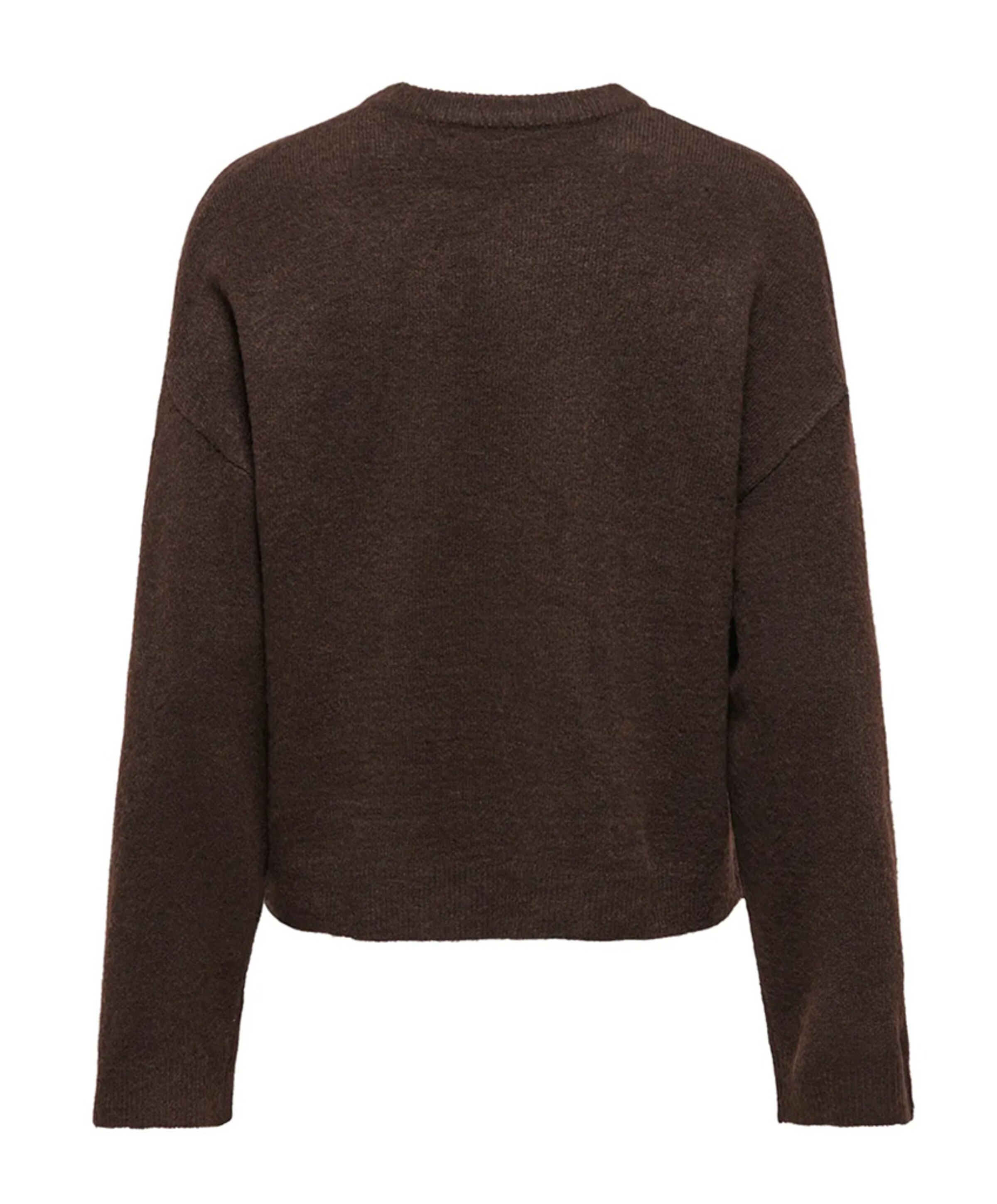 Only Dames trui bruin