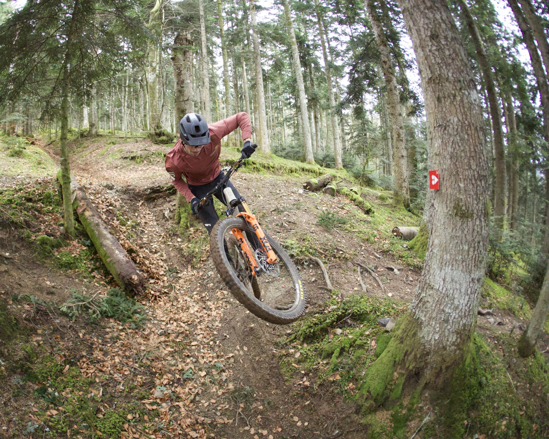 Fox Racing Shox Fox Float SL 36 Perf. Elite 29