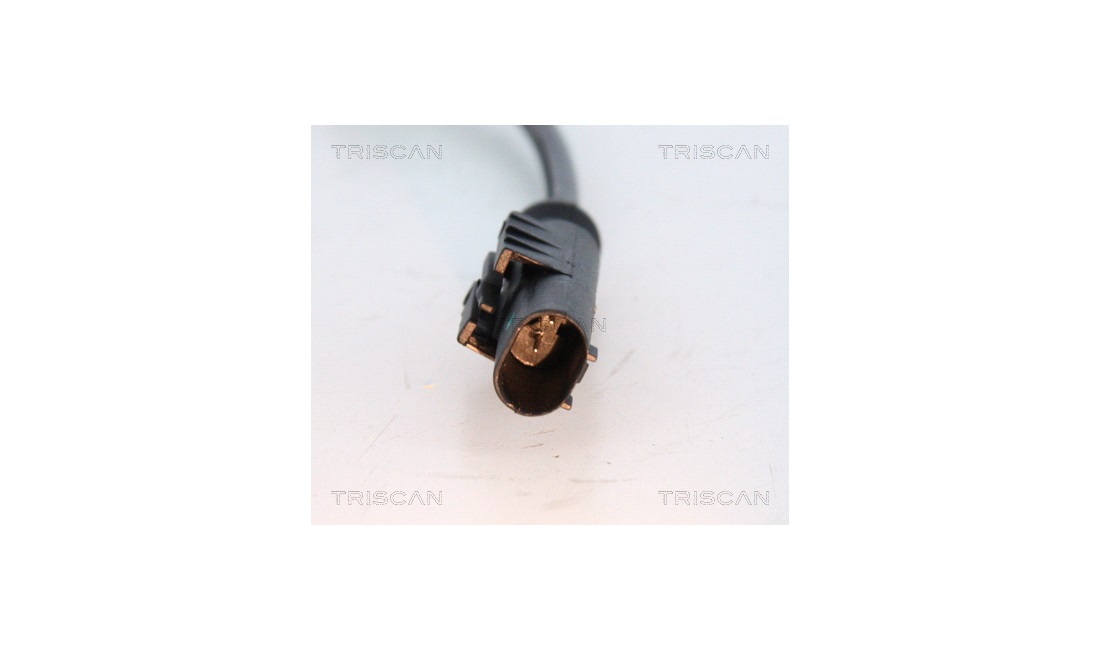 ABS sensor