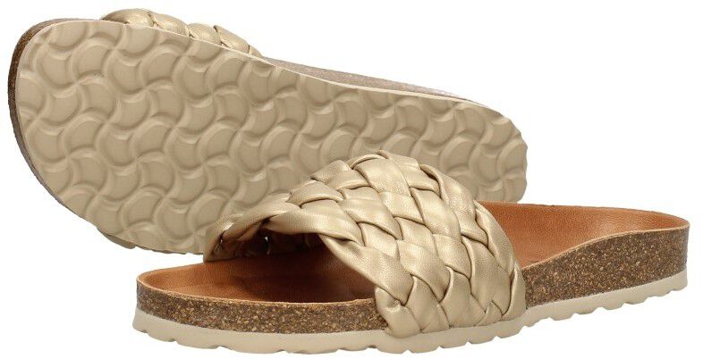 Verbenas Rica goudkleur