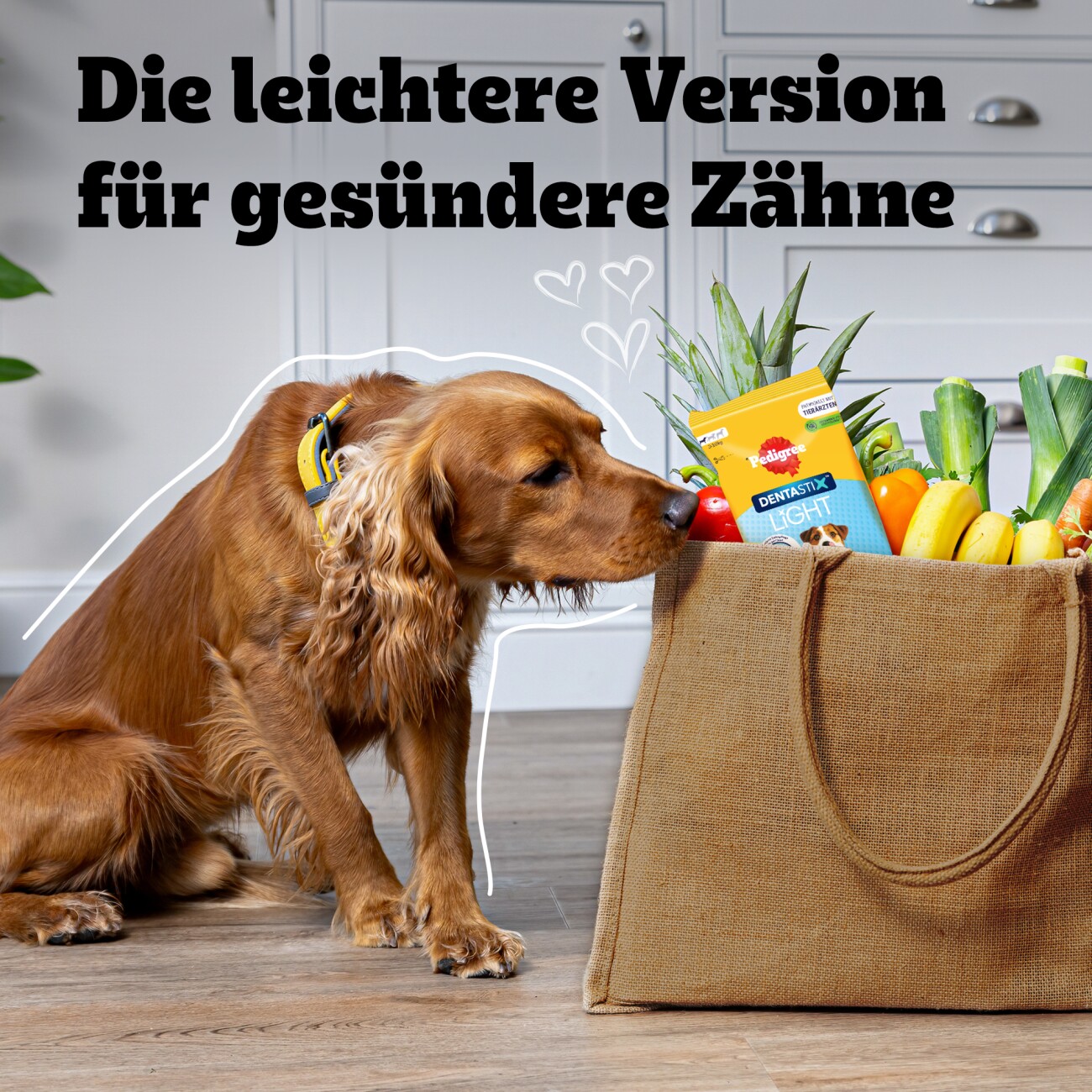 Pedigree Zahnpflege Dentastix Light für kleine Hunde 6x7 Stück