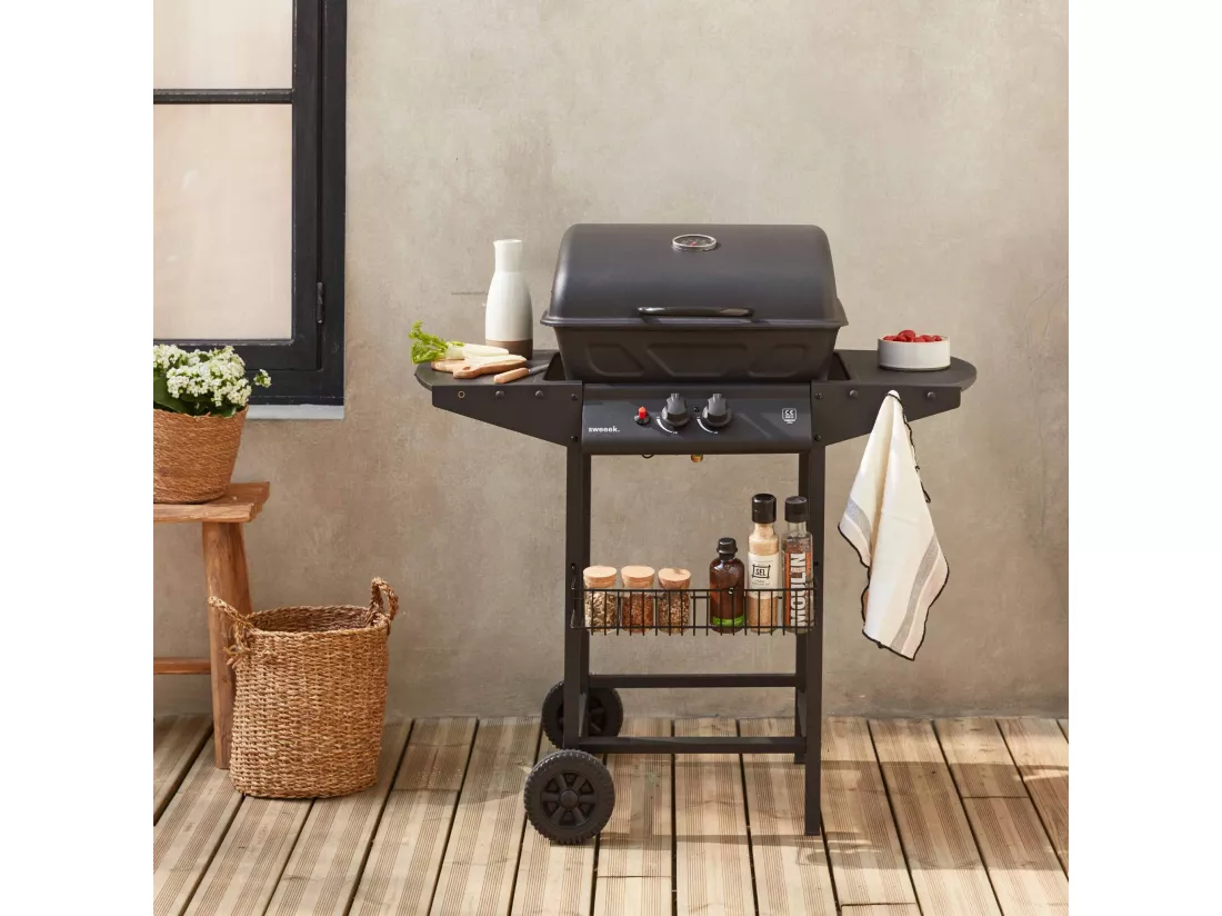 Barbecue au gaz - Aramis - Cuisine extérieure 2 brûleurs avec tablettes latérales et thermomètre