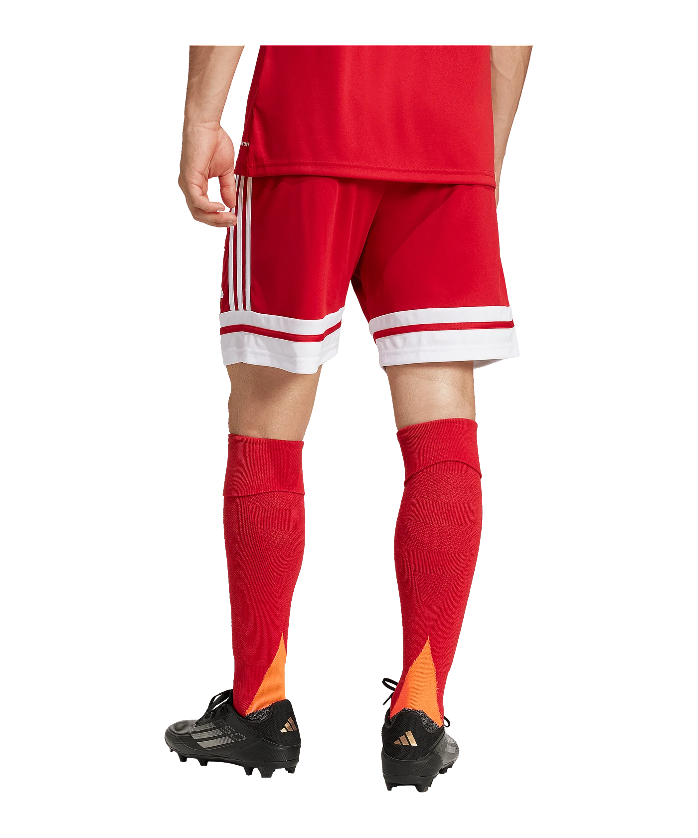adidas Squadra 25 Short Rot