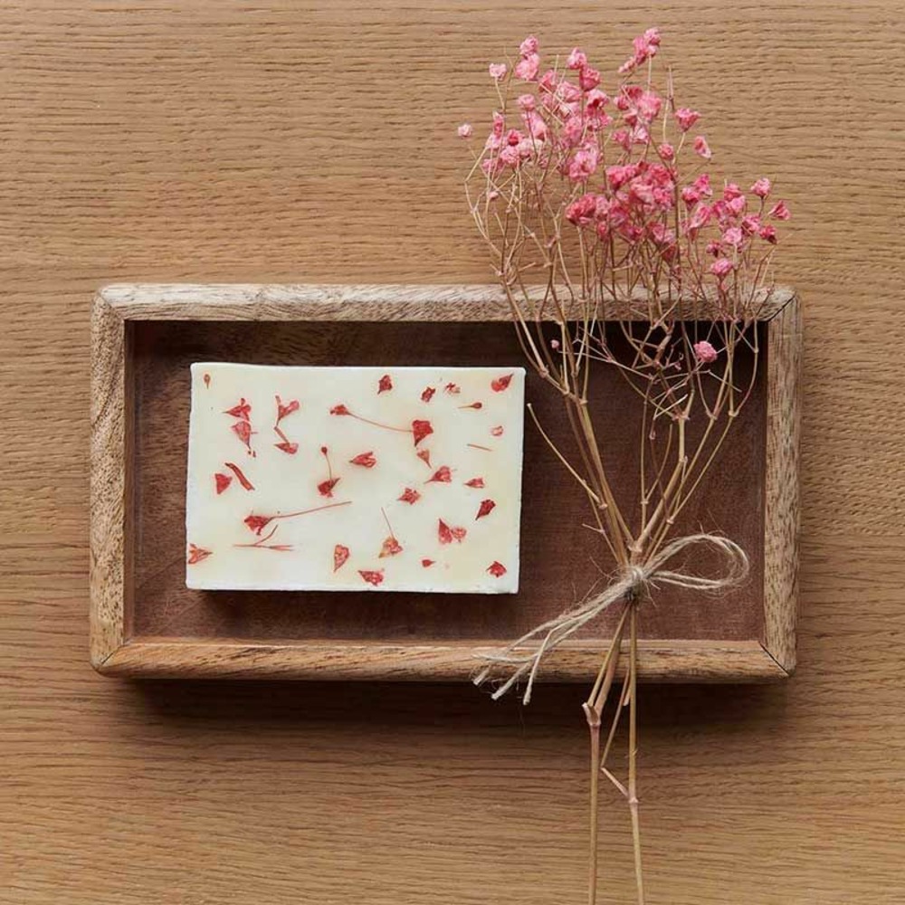 Gypsophiles rouges séchés et pressés