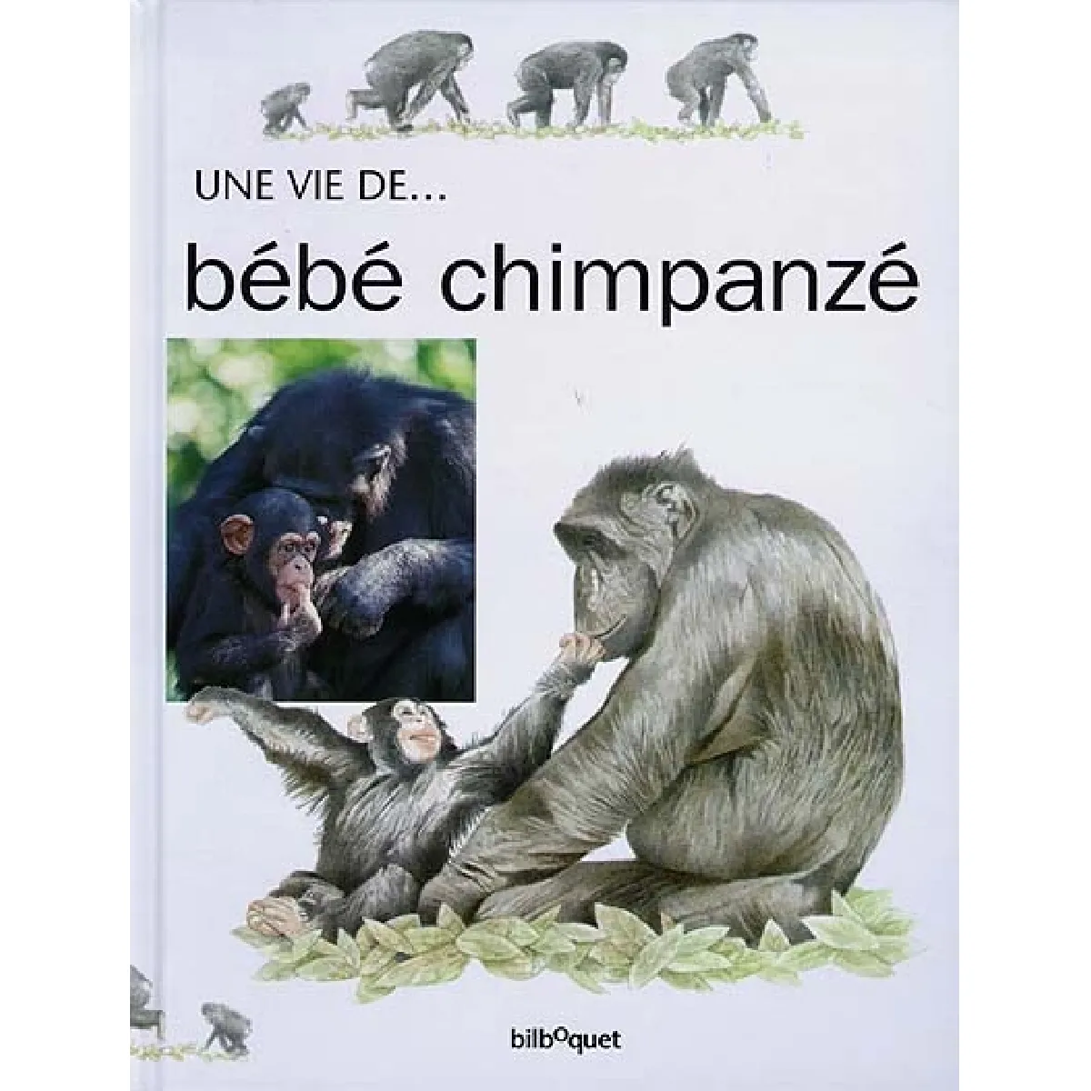 Bébé Chimpanzé · Occasion