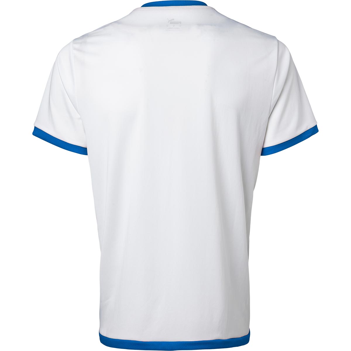 Puma teamLIGA Trænings T-shirt Herre