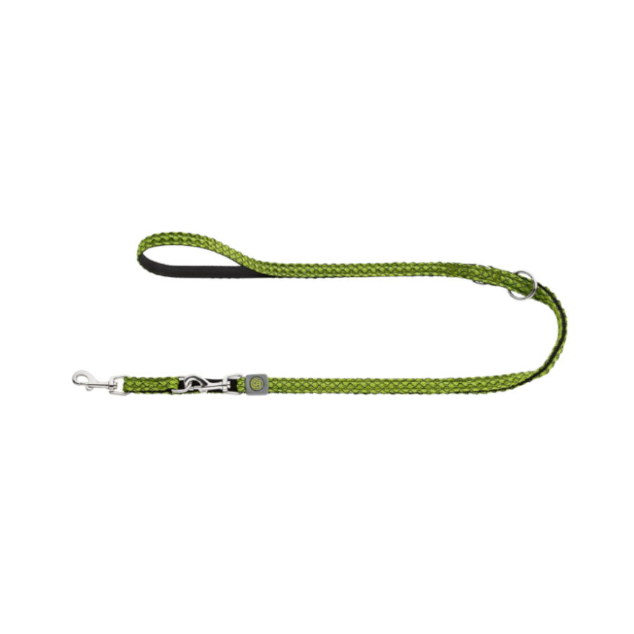 Guia de treinamento Hunter Hilo Green para cães