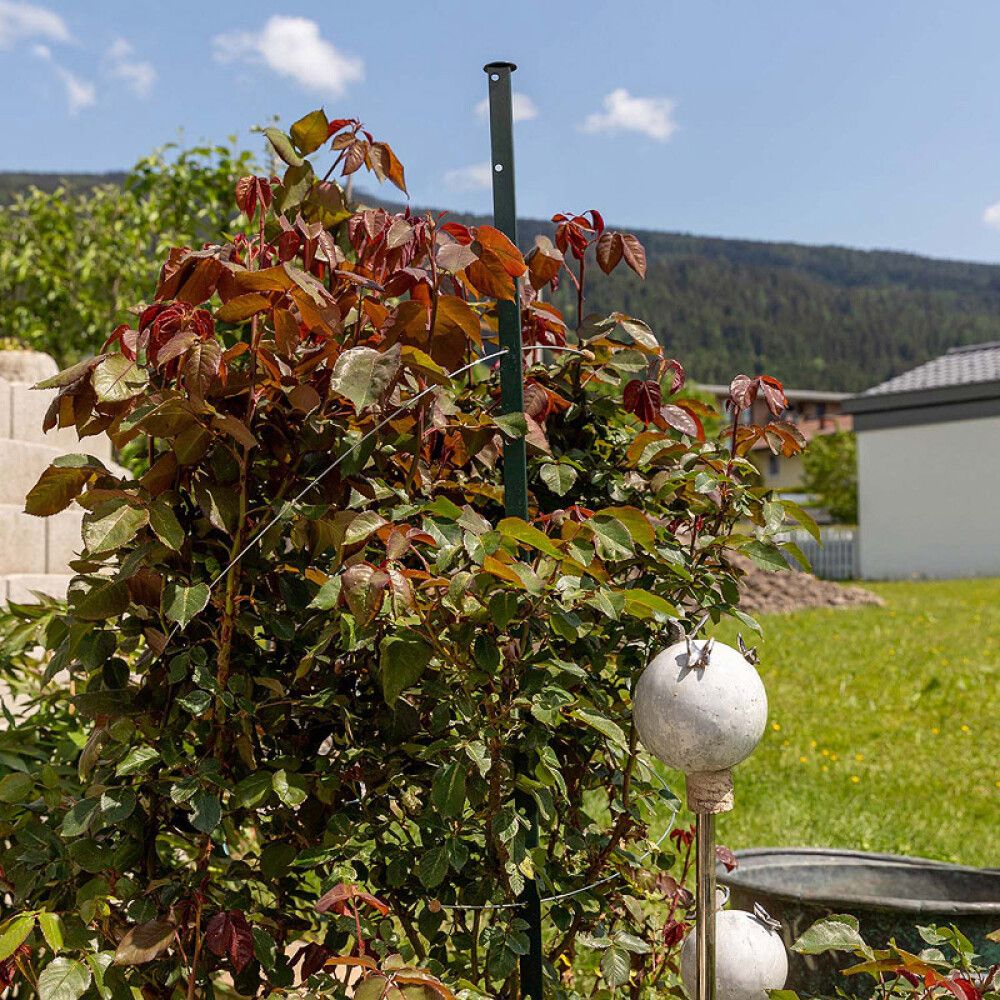 PLANTESTØTTE BELLISSA TIMO 150CM