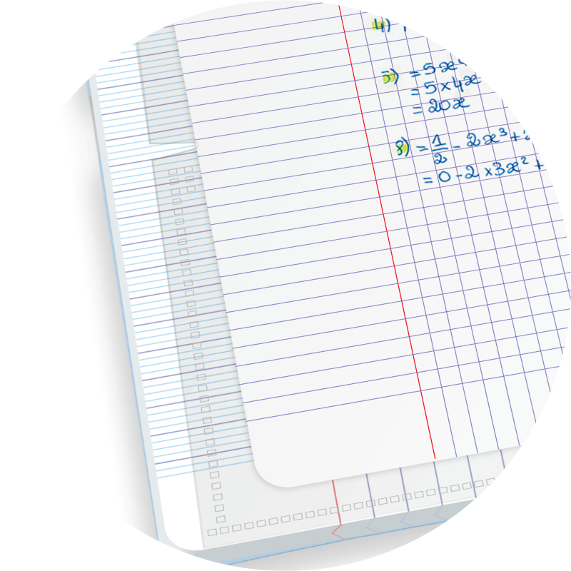 Cahier Oxford Duo Agrafe 24X32 96P Optik P. Seyes Polypro Assorti