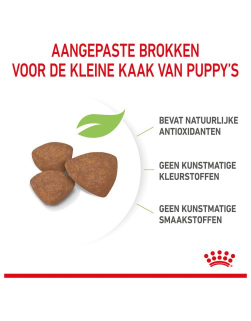Royal Canin Mini - Puppy-Hondenvoer