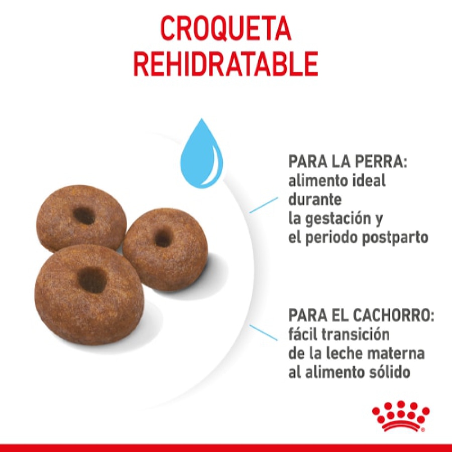 Ração Royal Canin Starter para Filhotes de Cães Gigantes
