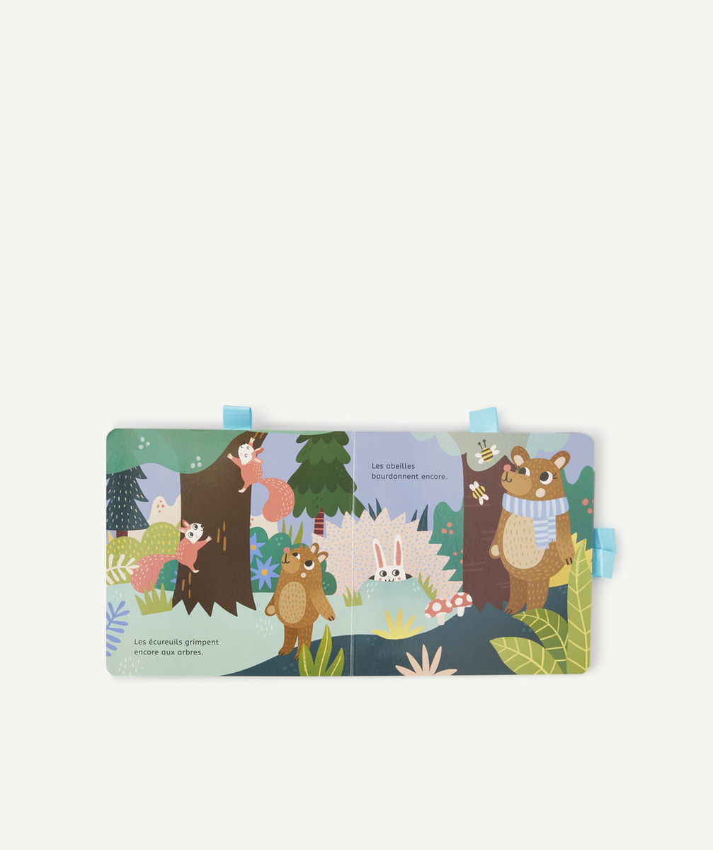 AUZOUAU LIT, PETIT OURS