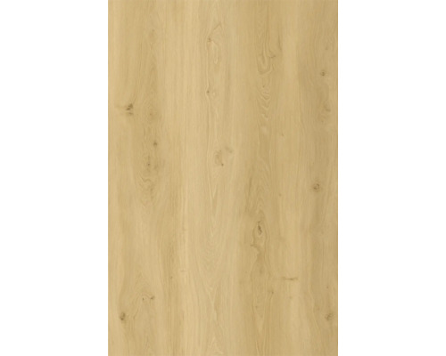 Vinylvloer SPC Botella landhuisplank klikverbinding 1210 x 169 x 5,0 mm