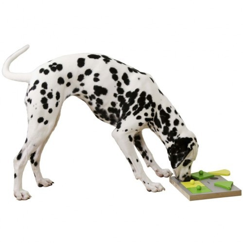 Brinquedo de inteligência em formato de bolo para cães, cinza e verde.