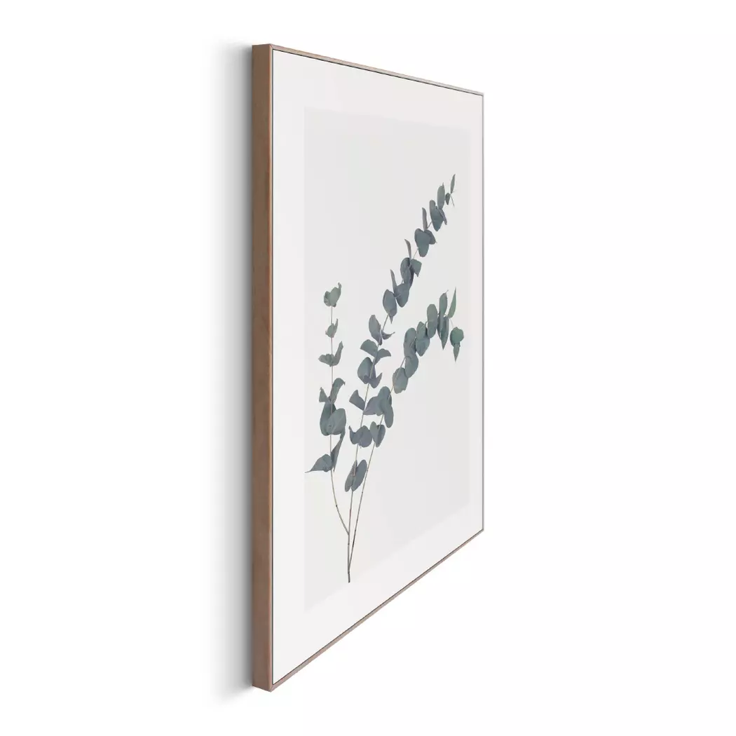 Wandbild 40 x 50 cm Eucalyptus