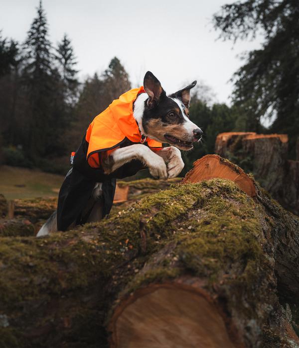 Non-stop dogwear Regenmantel Fjord raincoat