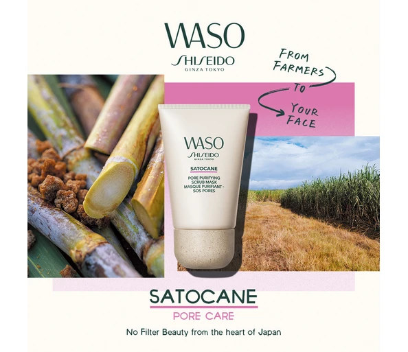 Shiseido Waso Satocane Pore Purifying Scrub Mask