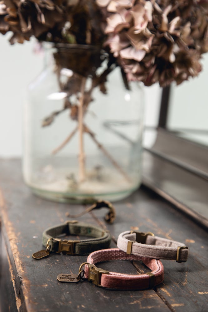Designed by Lotte kattenhalsband Velura roze 20-30 cm