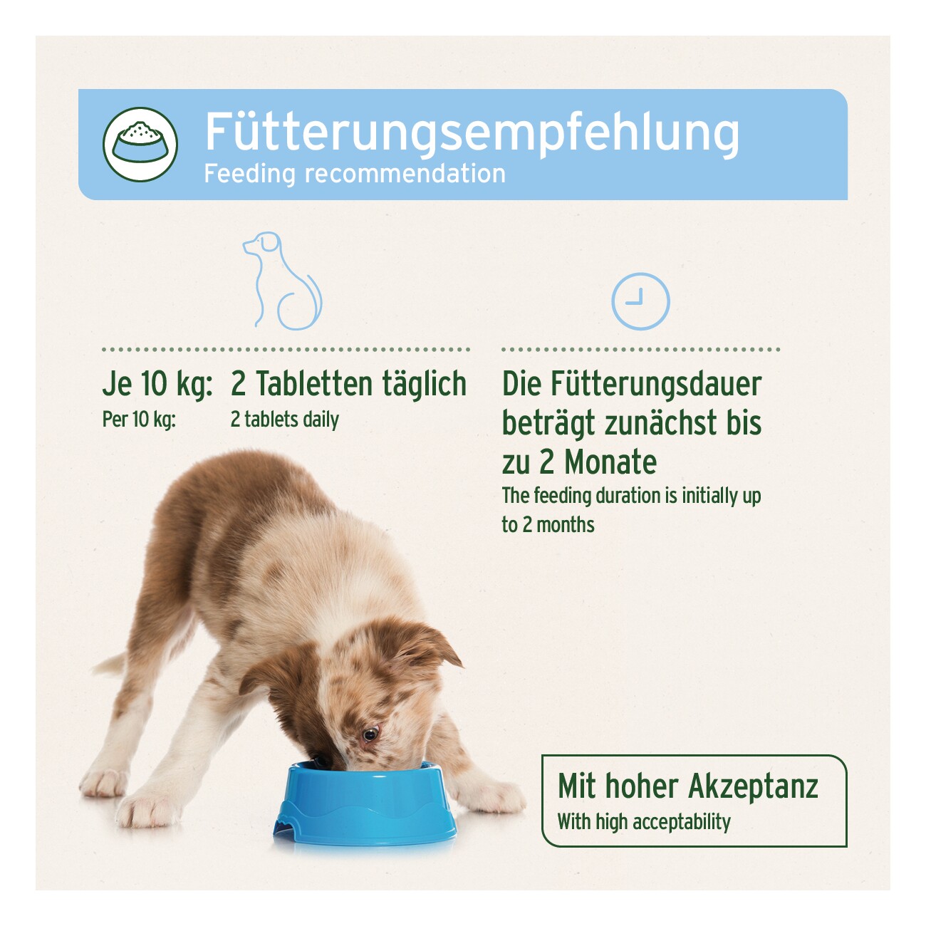 AniForte Plus Fell & Haut 90 Tabletten