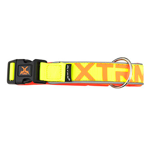 Coleira para cães X-TRM Neon Flash Lemon