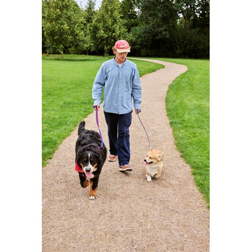 HAY Dog Flat Hundesnor, Red/Blue