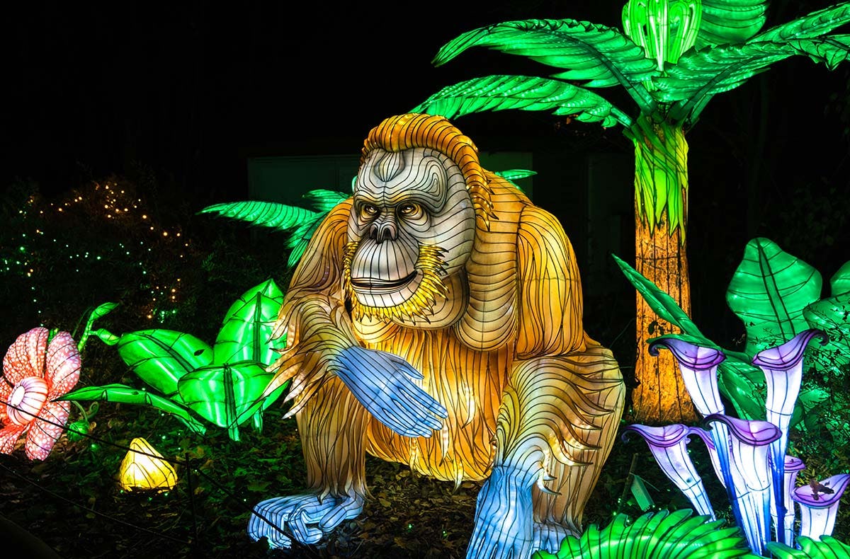 Lichterfestival mit Übernachten im Serengeti-Park für 2 (1 Nacht)