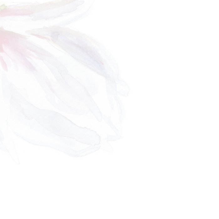 Michelle Dujardin | Condoleancekaart | Illustratie