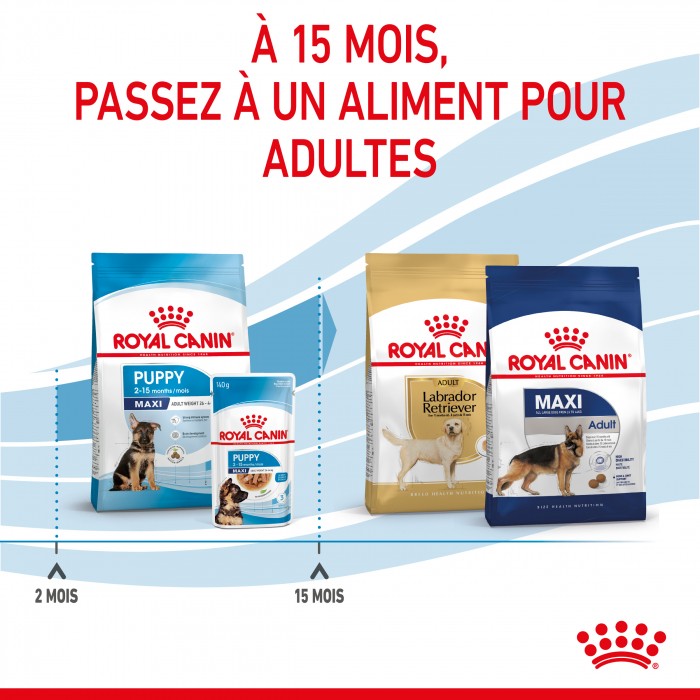 Royal Canin Maxi Puppy - Croquettes pour chiot