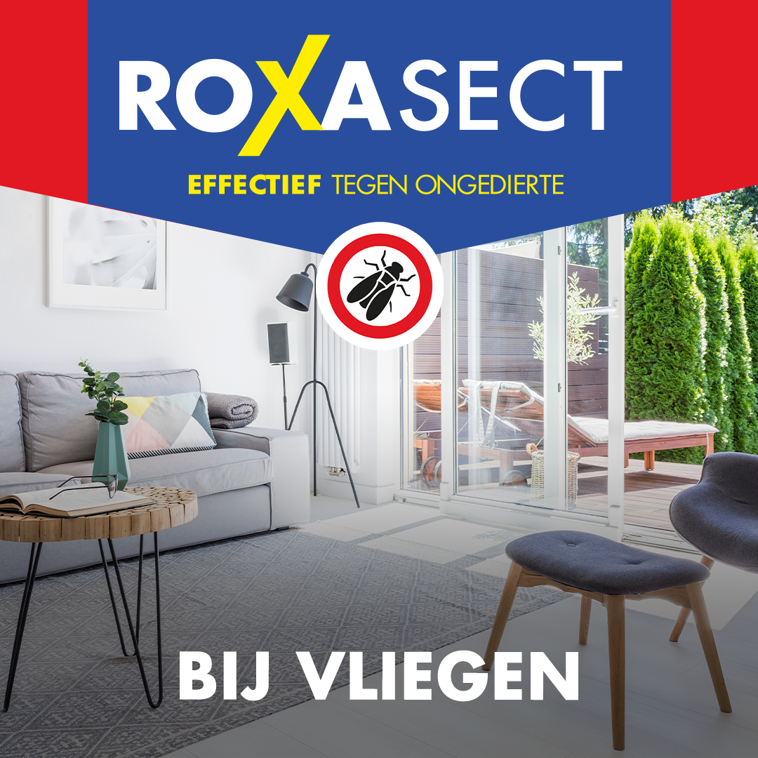 Roxasect Vliegenvanger (4 stuks)