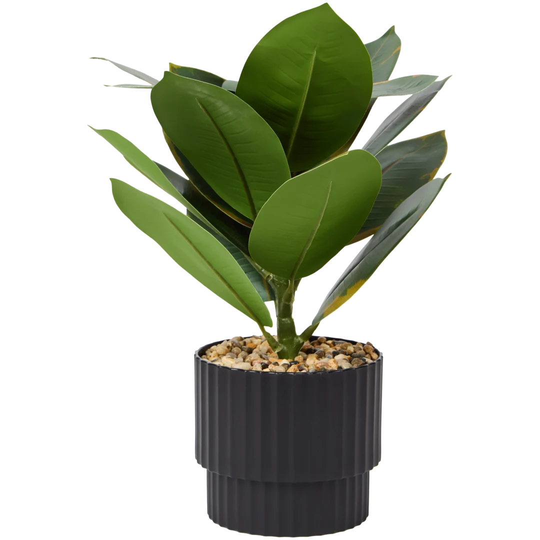 Ficus elastica artificiel