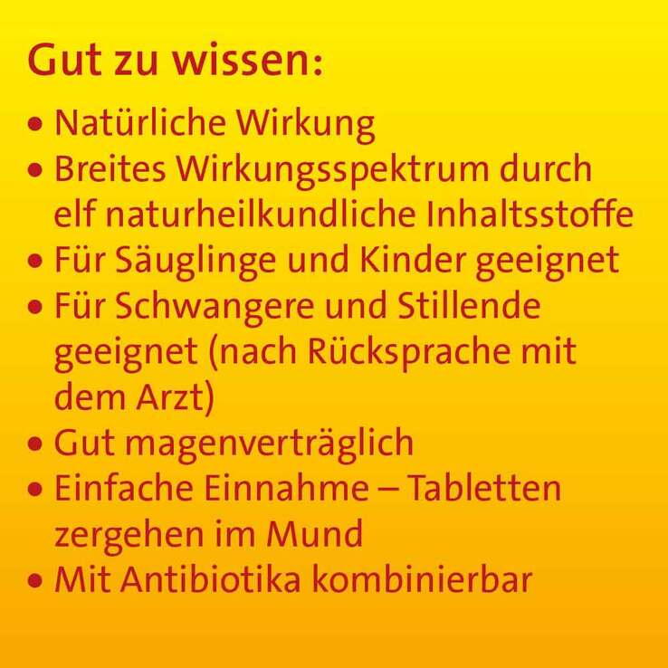 Sinusitis Hevert Tabletten, 300 St
