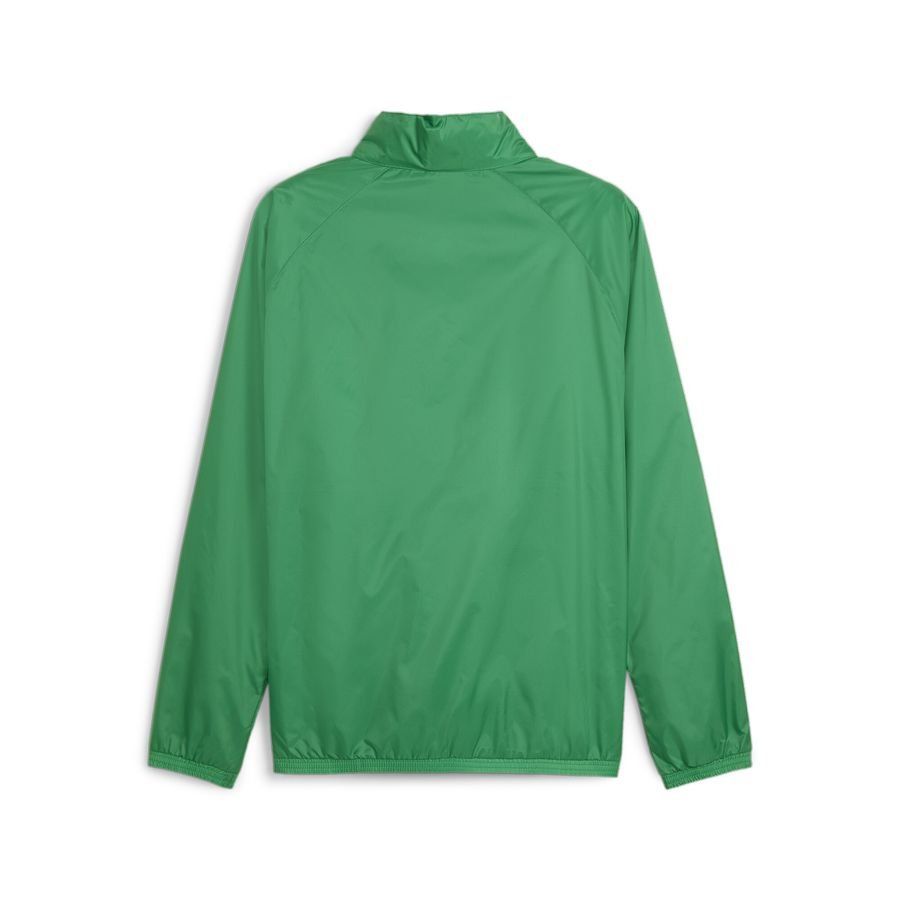 PUMA Veste teamGOAL All Weather - Vert/Blanc