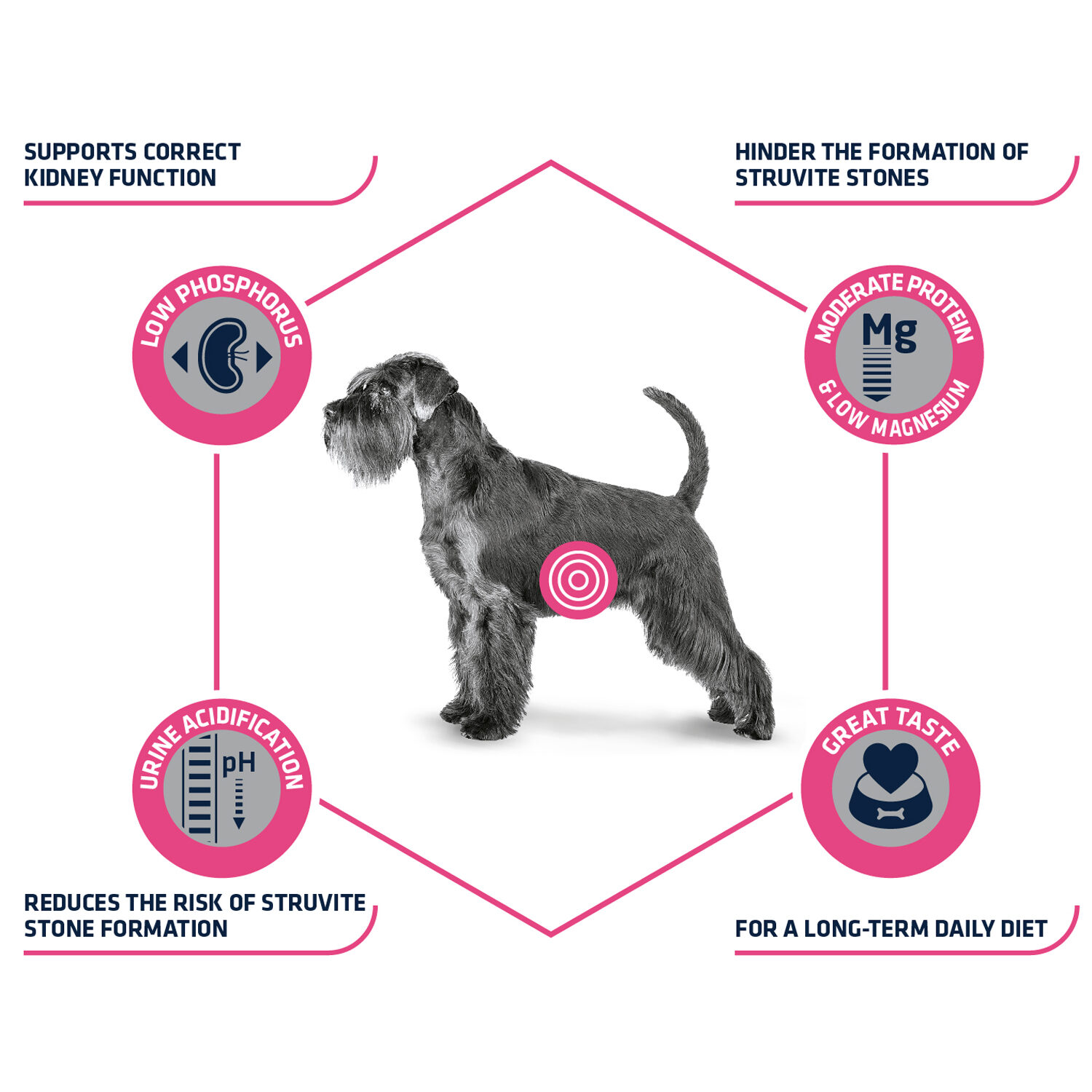 Affinity Advance Veterinary Diets Urinary Hond