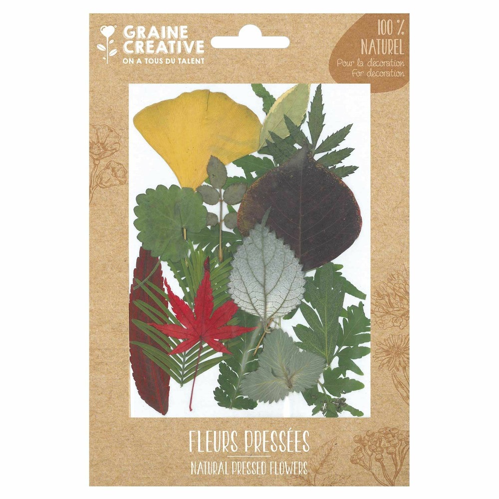 15 fleurs pressées - forêt 1