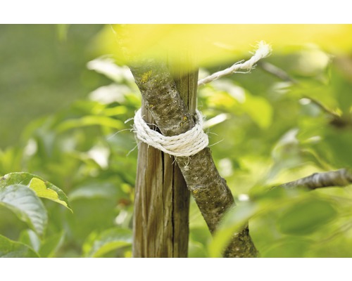 Tuinkoord FloraSelf natuurvezel sisal 60 m 200 g