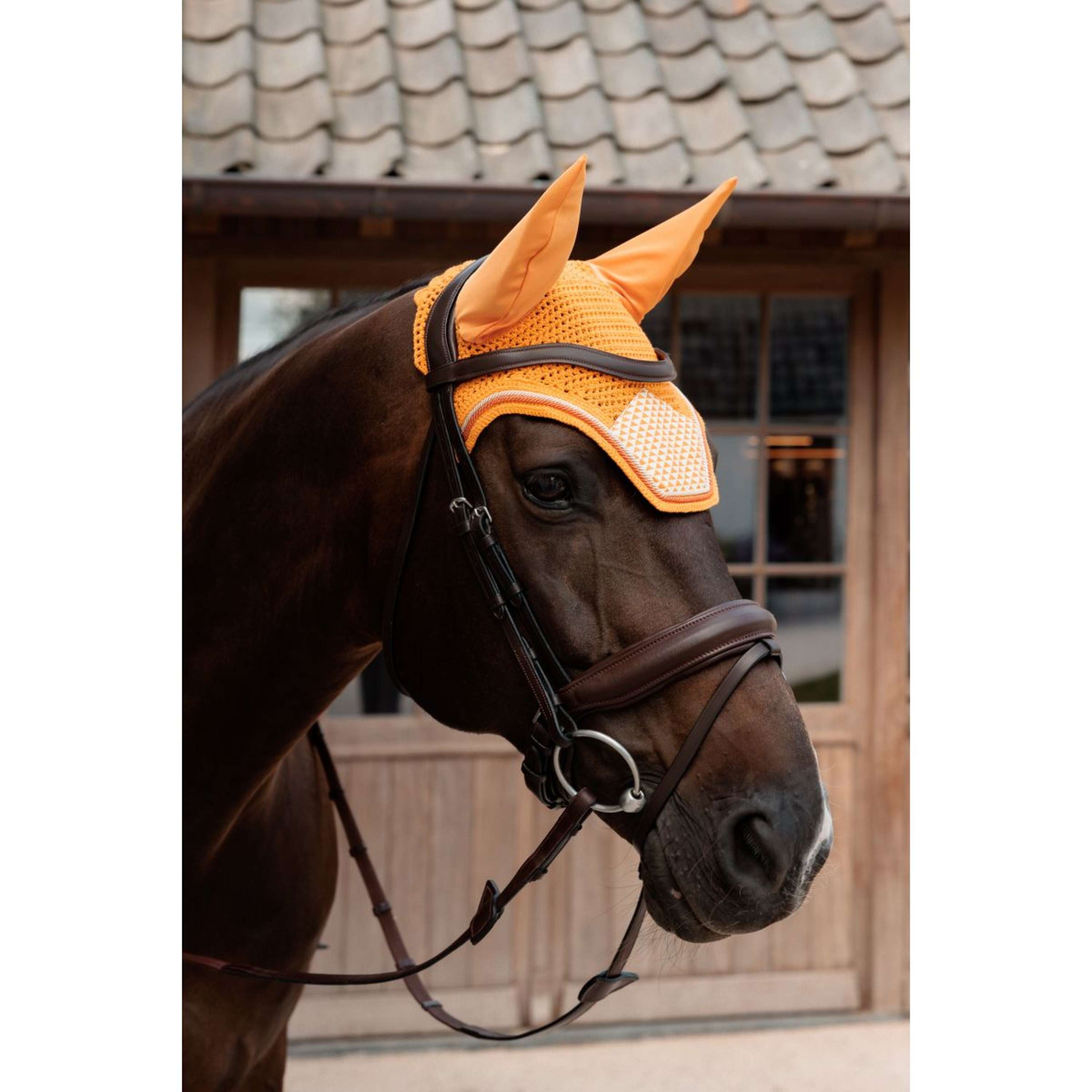 Kentucky Oornetje Wellington Velvet Flags Oranje