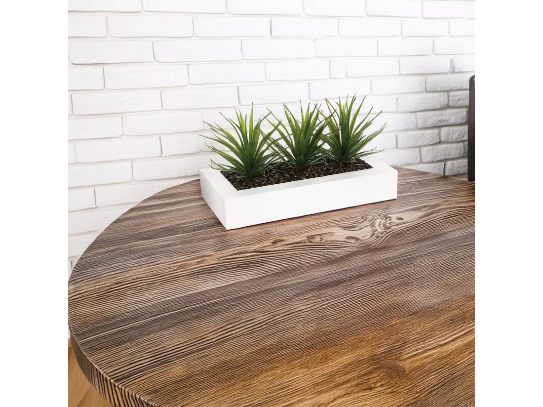 WELL HOME - Centre de table décoratif 3 plantes d'Aloe Vera H.17