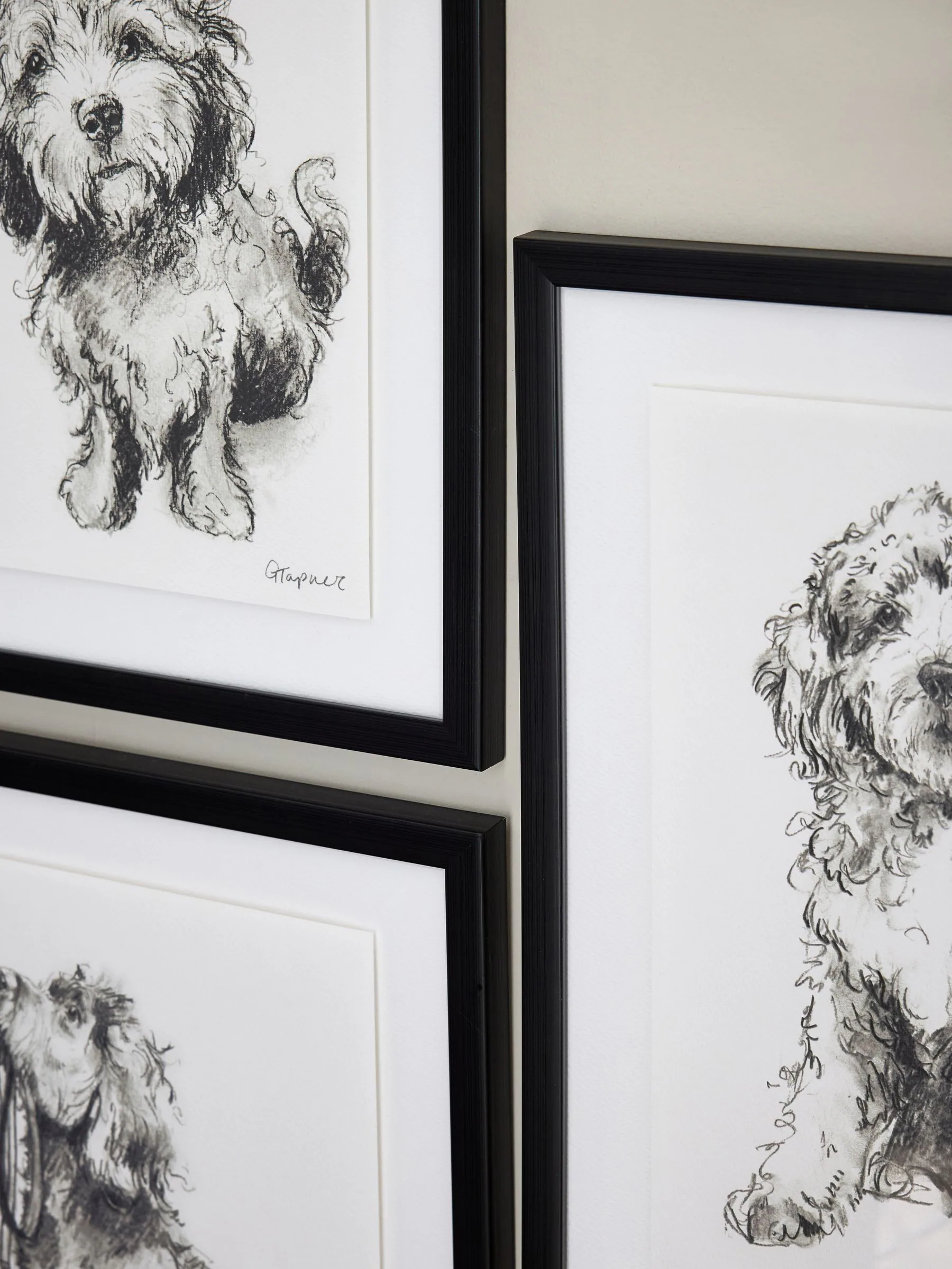 Set van 4 geschetste Cockapoo wanddecoratie